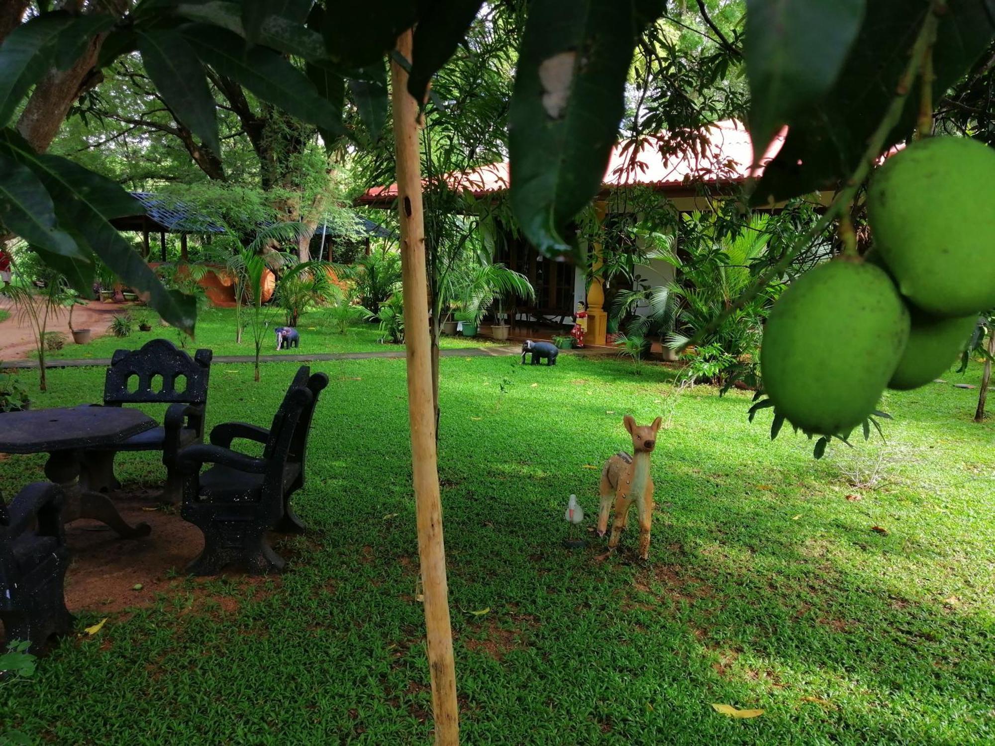 Sigiriya Ranasinghe Nature Villa Extérieur photo