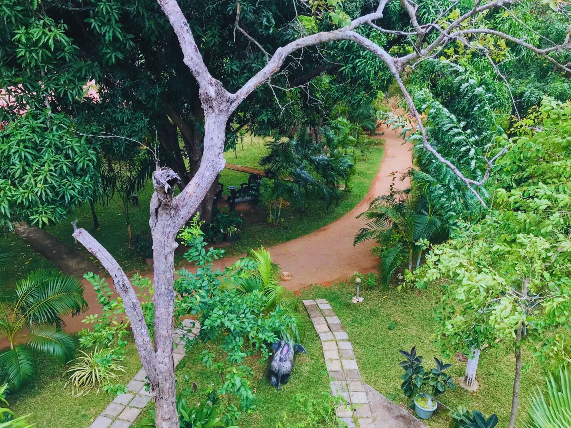 Sigiriya Ranasinghe Nature Villa Extérieur photo