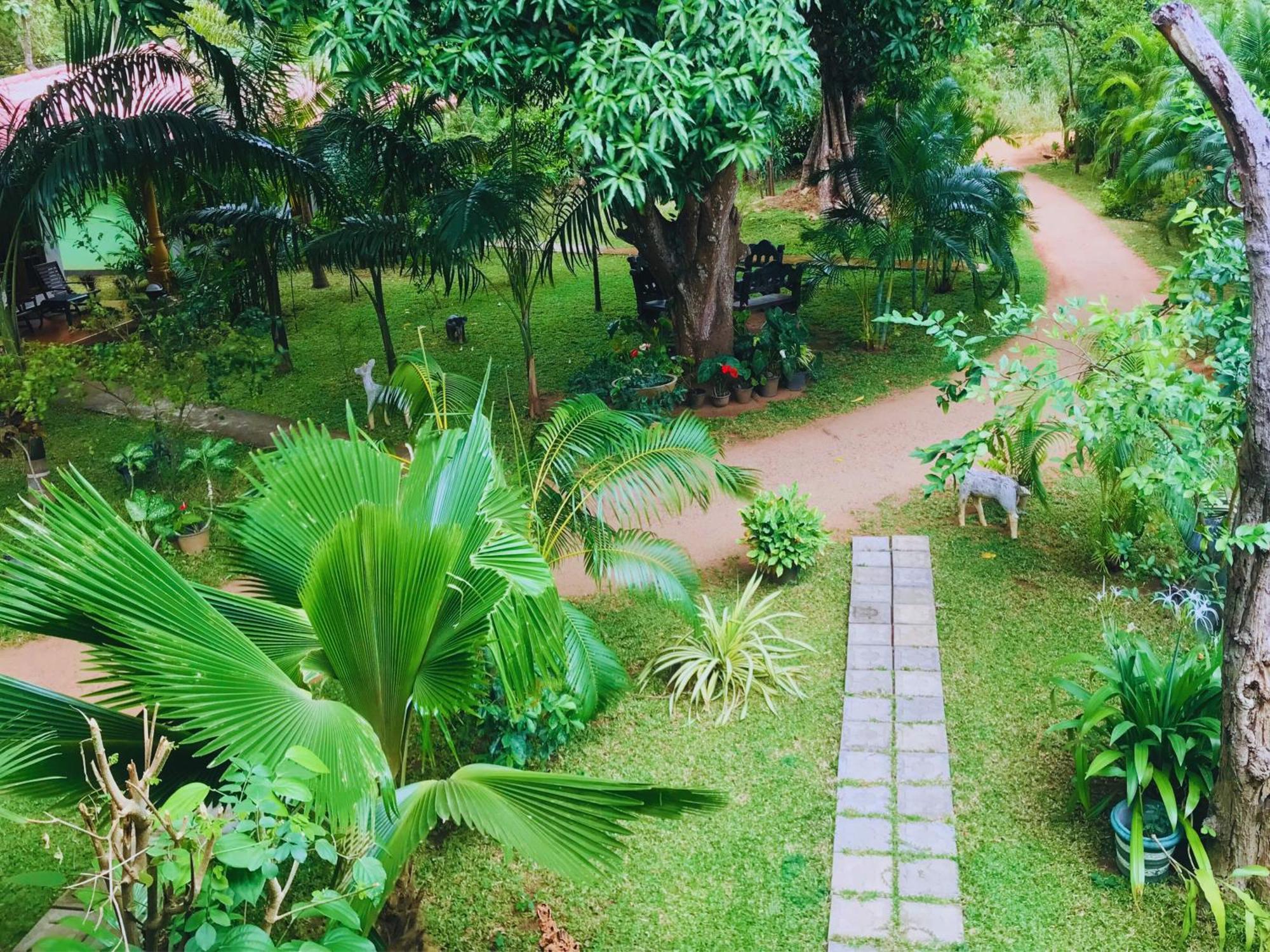 Sigiriya Ranasinghe Nature Villa Extérieur photo