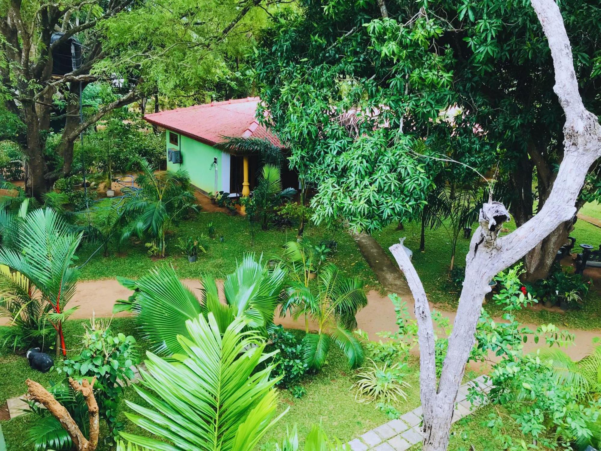 Sigiriya Ranasinghe Nature Villa Extérieur photo