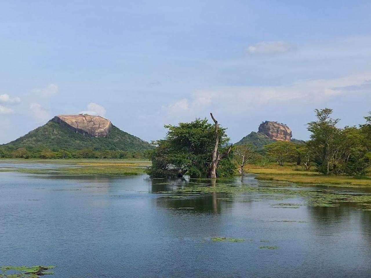 Sigiriya Ranasinghe Nature Villa Extérieur photo