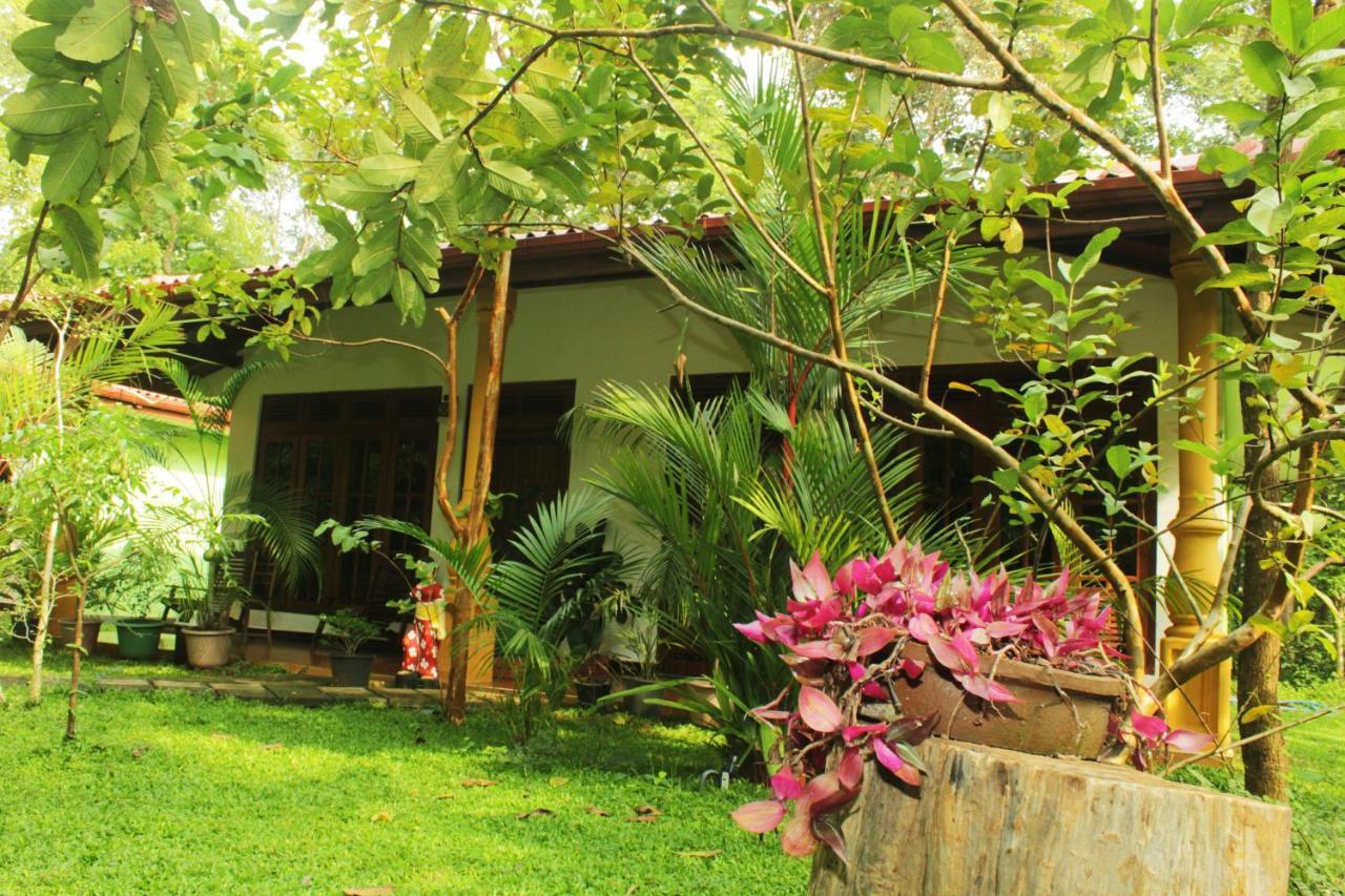Sigiriya Ranasinghe Nature Villa Extérieur photo